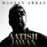 Hassan Abbas