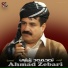Sarbast Maltay, Ahmad Zebari
