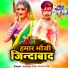 Krishna Zaik, Basant NK