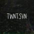 twntsvn