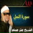 Sheikh Antar Musalam