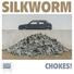 Silkworm