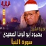 Al Sheikh Mahmoud Abo Al Wafa Al Seidy