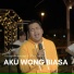 Vicky Prasetyo, ILUX