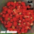 Land of Berries