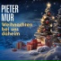 Pieter Mur