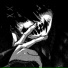Kaneki Prod, Animehub, alxmxv, FRANCOVSKUII