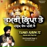 Bhai Sarabjit Singh Ji Ramdas Wale