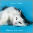 Sleepy Cat Music