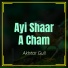 Akhtar Gull