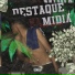 Tgl Cria, Rzim Cria, Pzim