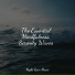 Meditação Yoga, Rain Makers, Sleep Makers Samples