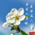 禾初初