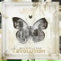 Slum Village (T3 Young RJ Illa J)
