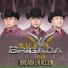 Nueva Brigada