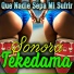 Sonora Tekedama
