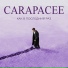 CARAPACEE