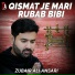 Zubair Ali Ansari