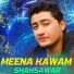 Shahsawar