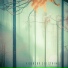 Andy Vidersky