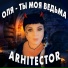 ARHITECTOR