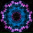Renzy Star