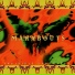 04 MaraboutsXenus Clark