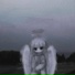 NezerilsCrite