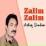 Ashiq Samhon