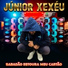Junior Xexéu