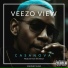 Veezo View