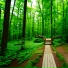 GREENZEL
