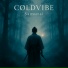 CØLDVIBE