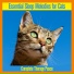 RelaxMyCat, Cat Music Dreams, Cat Music