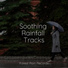 Fabricantes De Lluvia, Soothing Baby Music, Zen