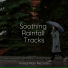 Fabricantes De Lluvia, Soothing Baby Music, Zen