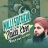 Peer Ajmal Raza Qadri