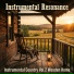 Instrumental Resonance