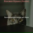 Высококлассные Музыка для кошек