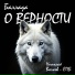 Николай Волков-СПб
