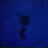 弱水WeakWaves