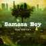 Samosa Boy