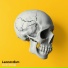 Leonardism
