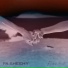 Pa Sheehy