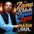 Nazir Gul