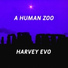 Harvey Evo