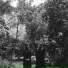 Julianna Barwick & Mary Lattimore