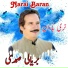 Baryalai Samadi