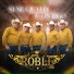 Grupo Roble GR