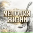 Сергей Грищук